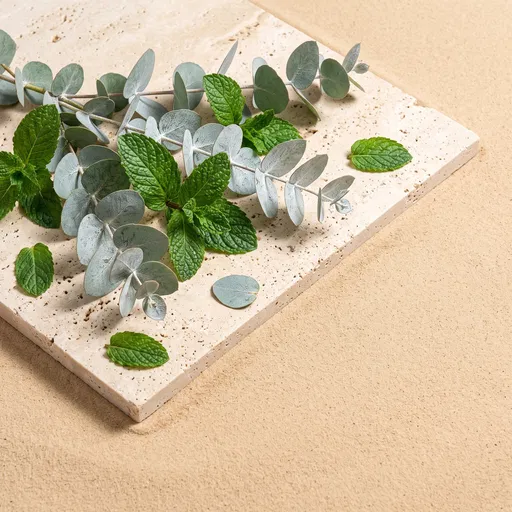 Eucalyptus and Mint on Travertine Slab