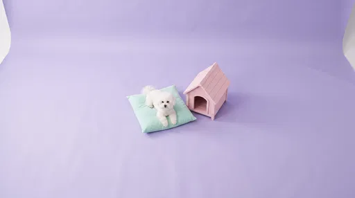 White Bichon Frise Beside Pastel Doghouse