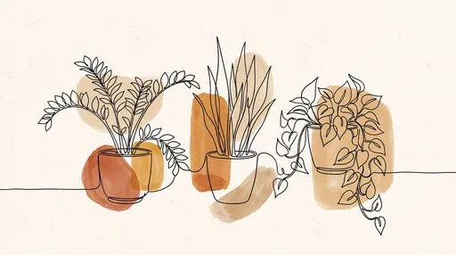 Minimalist Line Art Potted Plants Illustration
