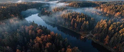 Aerial View of Misty Autumn Forest River