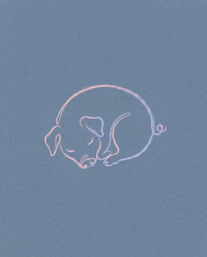Minimalist Chalk Drawing of Sleeping Pig