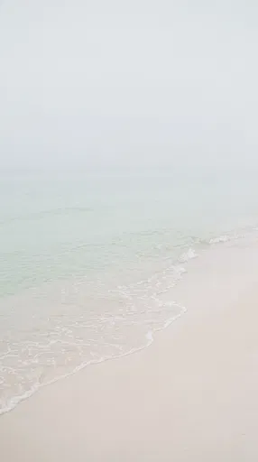 Minimalist Misty White Sand Beach Shoreline