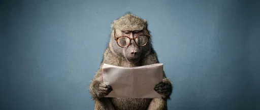 Baboon in Glasses Reading Blank Newspaper