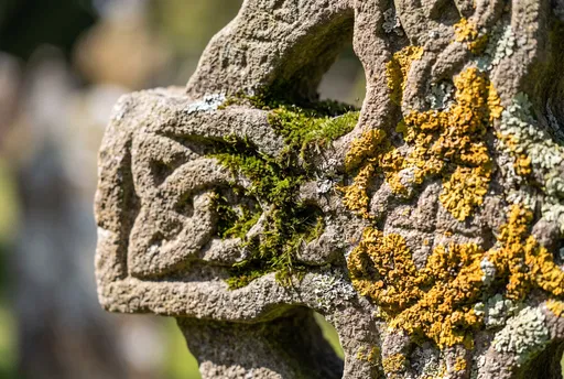 Ancient Stone Cross With Moss and Lichen