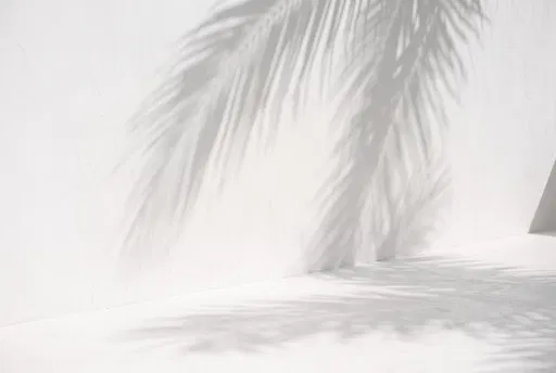 Palm Leaf Shadows on White Plaster