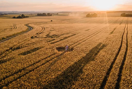 Aerial View of Couple in Wheat Field