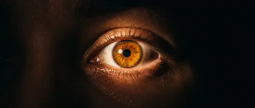 Macro Shot of Illuminated Amber Eye