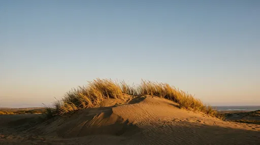Sunlit Sand Dune with Golden Beachgrass