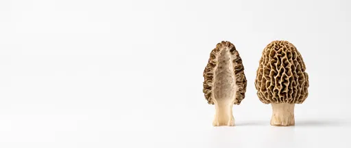 Whole and Halved Morel Mushrooms on White