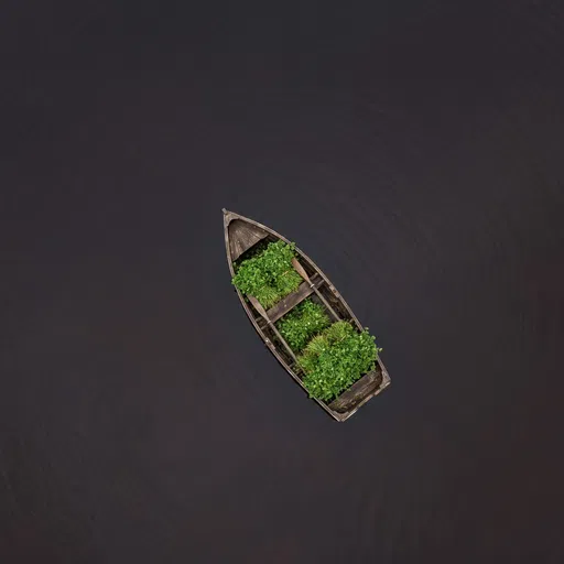 Overhead View of Rowboat With Clover