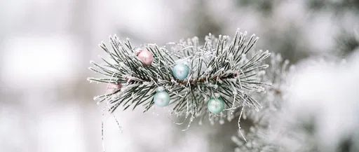Frosted Pine Branch With Pastel Ornaments