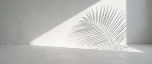 White Plaster Wall With Palm Shadow