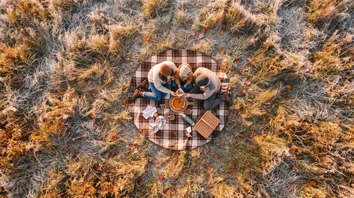 Aerial View of Family Autumn Picnic