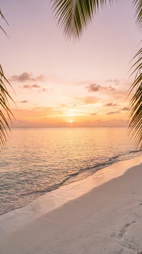 Tropical White Sand Beach at Sunset