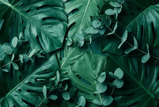 Green Teal Monstera and Eucalyptus Leaves