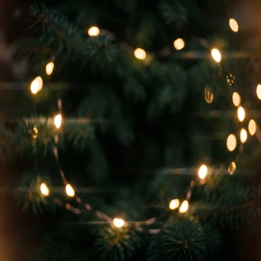 Warm Fairy Lights on Evergreen Branches