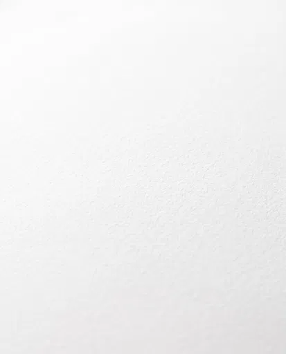 Macro White Textured Surface Background