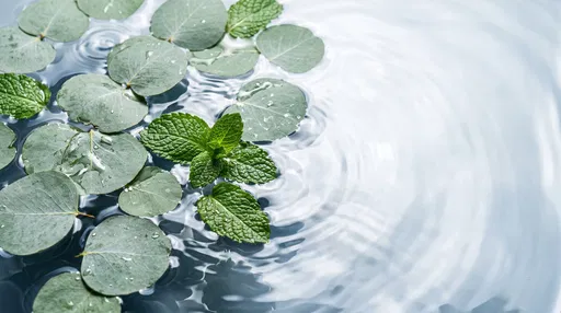 Eucalyptus and Mint Floating on Rippled Water