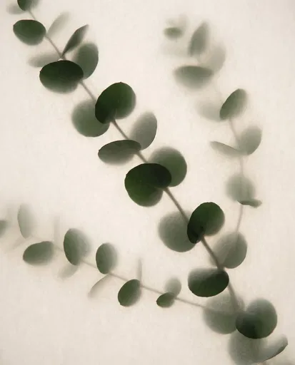 Eucalyptus Branches Behind Frosted Vellum