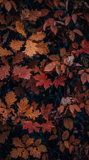 Moody Autumn Foliage Woodland Backdrop