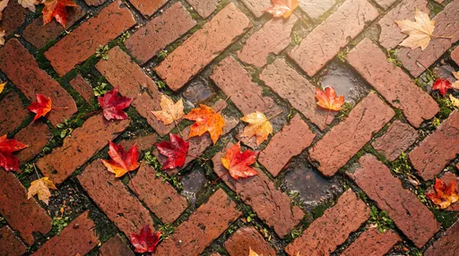 Autumn Maple Leaves on Wet Brick Sidewalk