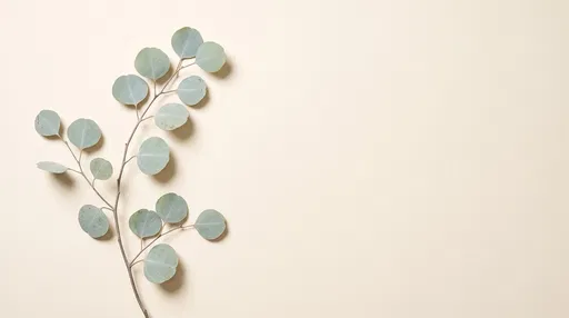 Minimalist Eucalyptus Stem Flat Lay