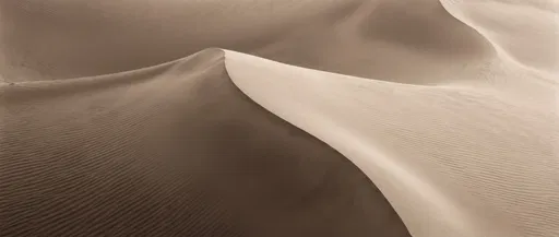 Minimalist Sepia Desert Sand Dunes