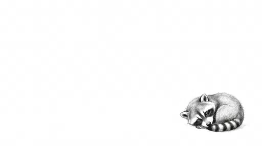 Sleeping Baby Raccoon Charcoal Sketch Background