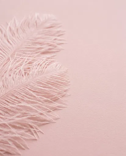 Soft Pink Feathers on Blush Background