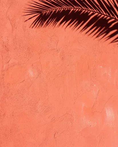 Palm Shadow on Coral Stucco Wall