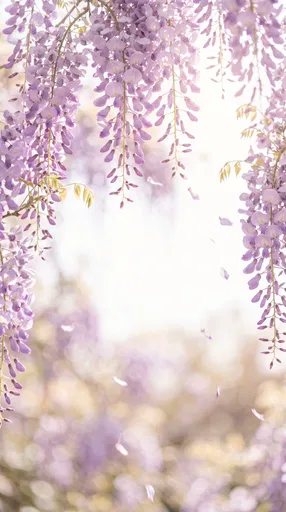 Pastel Lavender Wisteria Vines Frame