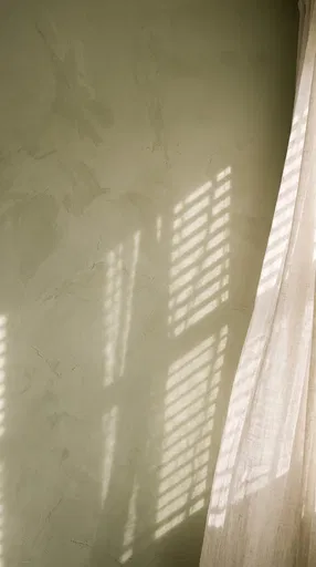 Sunlight on Sage Limewash Wall