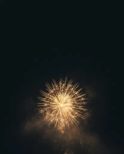 Single Golden Firework in Night Sky