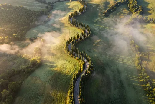 Aerial View of Winding Cypress Road