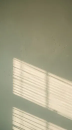 Sunlight Shadows on Sage Plaster Wall