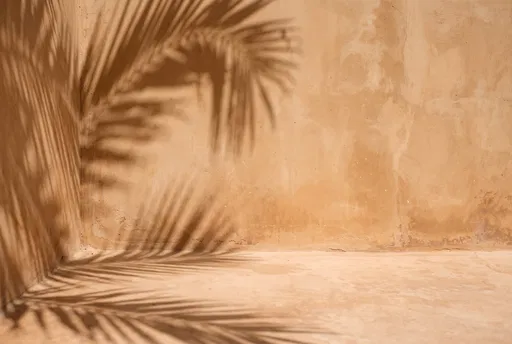 Palm Shadows on Warm Terracotta Plaster