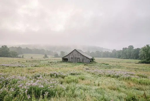 Weathered Barn in Misty Wildflower Meadow