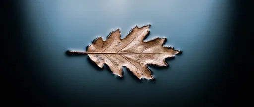 Bronze Oak Leaf Floating on Dark Water