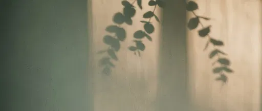 Eucalyptus Shadows on Sage Plaster Wall