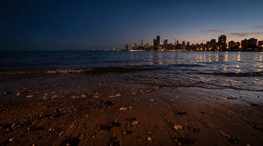 Chicago Skyline From Twilight Beach Shore