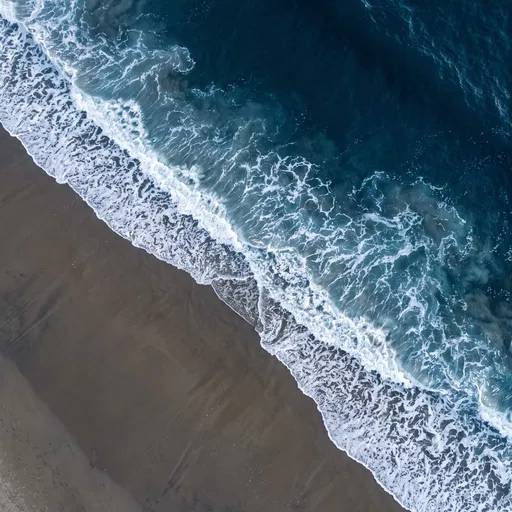 Top-Down Aerial View of Ocean Shoreline