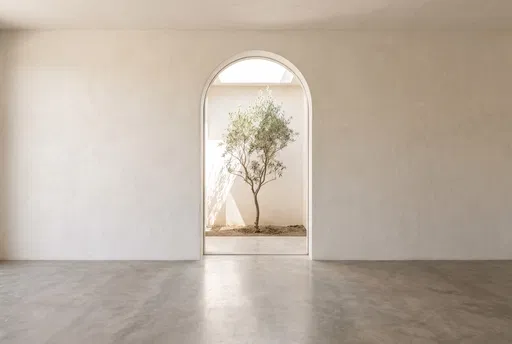 Minimalist Room Archway With Olive Tree
