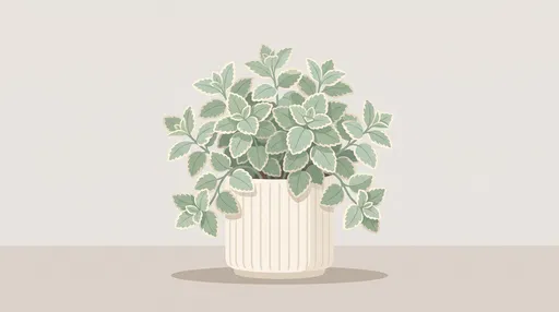 Minimalist Variegated Mint Plant Illustration