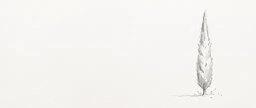 Minimalist Cypress Tree Pencil Sketch
