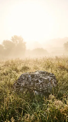Weathered Boulder in Misty Sunrise Meadow