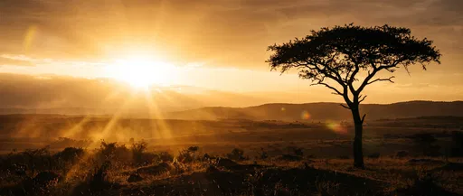 Golden Savanna Sunset with Acacia Silhouette
