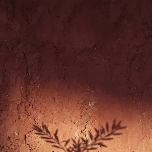 Dark Red Adobe Wall With Branch Shadow