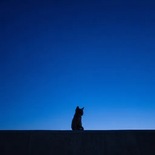 Kitten Silhouette Against Blue Twilight Sky