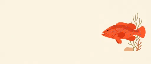 Minimalist Red Coral Grouper Banner Illustration