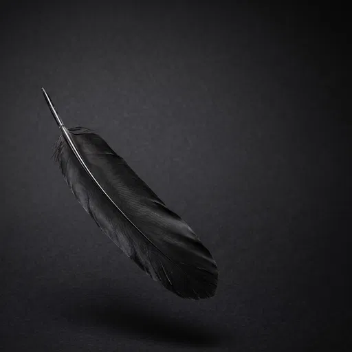 Black Raven Feather on Dark Background